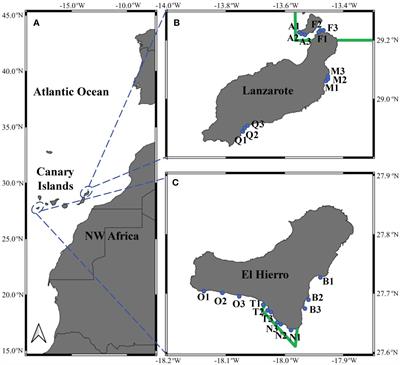Larval dynamics suggest phenological strategies and positive effect of marine protected areas controlling indigenous and non-indigenous crab populations